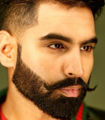 Profile picture of Parmish Verma